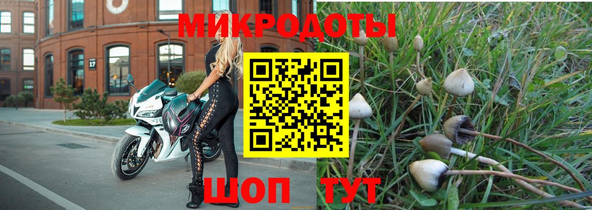 Минусинск  Галлюциногенные грибы MAGIC MUSHROOMS  Вход с VPN 
